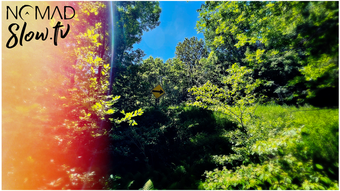 Walk or Fly to Ayers Cliff - Nine Lives - Unicorn Heads
